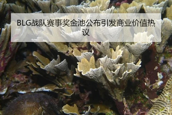 zhan-dui-sai-shi-jiang-jin-chi-gong-bu-yin-fa-shang-ye-jia-zhi-re-yi-1-803.jpg